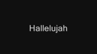 John Cale  Hallelujah Lyrics best version [upl. by Nosinned]