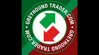 Greyhound Trader Towcester PreDerby Sales 2024 [upl. by Trbor]