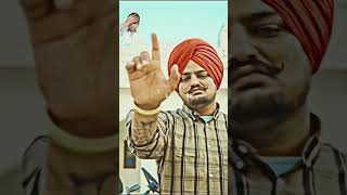 Shidu moose wala hai 🙏punjabithalastridepunjabisongripsidhumoosawalatarndingshortyoutubeshorts [upl. by Etnahsal]