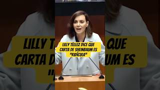 Lilly Téllez “se manda sola” así la exhiben [upl. by Yenalem175]