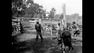 Stockmen of Australia [upl. by Ecinuahs427]