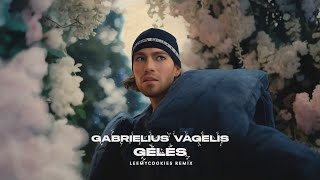 Gabrielius Vagelis  Gėlės LeeMyCookies Club Mix [upl. by Kraft656]