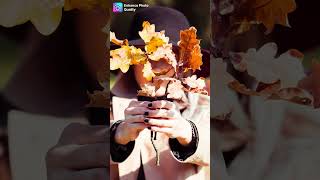 AI Photo Colorizer  Enhance Photo Quality [upl. by Daley]