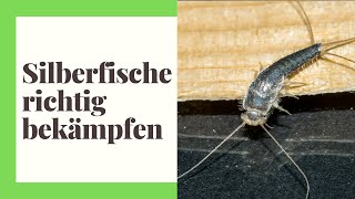 Silberfische bekämpfen  So werden Sie Silberfischchen ganz einfach los praktische Tipps [upl. by Punak656]