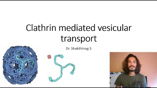 Clathrin mediated vesicular transport [upl. by Ching]