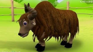 Yak Rhymes  Alphabet Song 3d nursery rhymes for kids  Y for yak songs [upl. by Eislrahc]