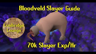 OSRS 2022 Bloodveld Slayer Guide  70k Slayer ExpHr [upl. by Nosrej]