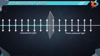 16  Class 12  Physics  Wave Optics  Polarisation [upl. by Ma781]