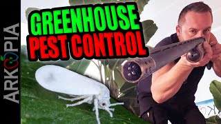 Greenhouse Pests  Insecticidal Soap Beneficial Bugs amp more for whiteflies aphids gnats etc [upl. by Eilesor]