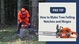 How To Make Tree Felling Notches And Hinges With A Chainsaw  Husqvarna [upl. by Prudie]