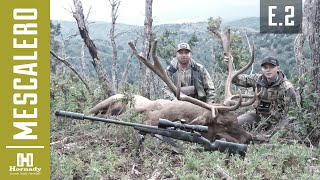 HORNADY 65 PRC  650 YARD KILL  MESCALERO MEGA BULLS  PART 2 [upl. by Enamart]