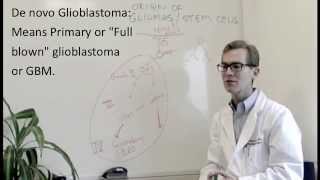 Brain Tumors 101 Gliomas Part 3 Glioblastoma [upl. by Enehpets]