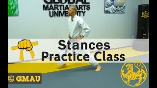 Shotokan Karate  8th Kyu Yellow Belt  Stances Practice Class [upl. by Nodarb]