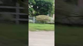 Driving in Costa Rica while acclimating [upl. by Sierra612]