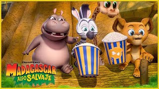 Aventuras en la ciudad 🌃  DreamWorks Madagascar en Español Latino [upl. by Dedrick]