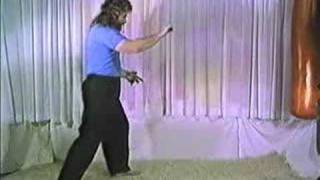 MTG2 Part 4 Old Yang Style Learn Tai Chi Free [upl. by Anim]