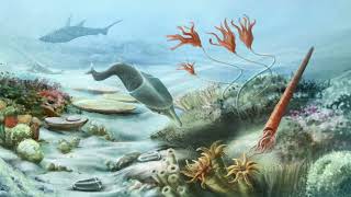 History of the Earth Part 2 Phanerozoic Eon – Paleozoic Era [upl. by Erie]