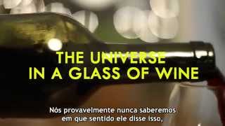 Richard Feynman — O Universo Em Uma Taça de Vinho [upl. by Cocks504]