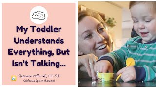 My Toddler Understands But Isn’t Talking Learn How To Help From A Speech Therapist [upl. by Perretta]