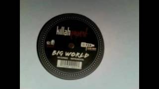 Killah Priest  Big World [upl. by Salkcin]