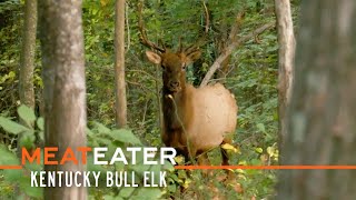 Boone amp Bugles Kentucky Bull Elk  S4E10  MeatEater [upl. by Ellevart]