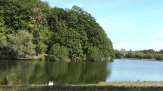 Etang des roussières saint quentin en yvelines [upl. by Luce]