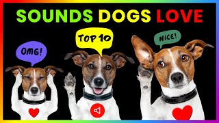 Top 10 Sounds Dogs Love GUARANTEED [upl. by Khano]