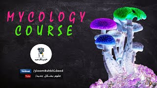 محاضرات كورس علم الفطريات Mycology  محاضرة 5  Class Plasmodiophoromycetes [upl. by Uri]