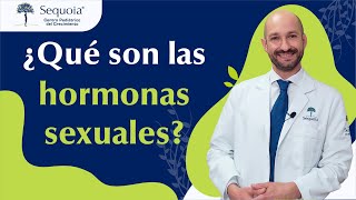 ¿Qué son las hormonas sexuales [upl. by Rufford]