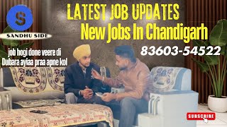 Job  Chandigarh job  How to find job  Mohali Jobs  Fresher jobs  Jobs in chandigarh  Fresher [upl. by Sothena]