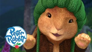 Peter Rabbit  The Hero Rabbit  Cartoons for Kids [upl. by Samaj74]