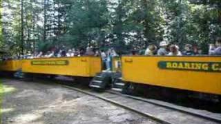 Roaring Camp amp Big Trees RR 1 steam train USA 2007 [upl. by Yeslaehc]