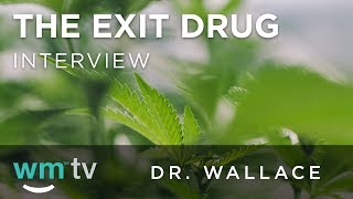 How Cannabis Is Successful in Opioid Addiction Recovery  The Exit Drug [upl. by Ynabe]