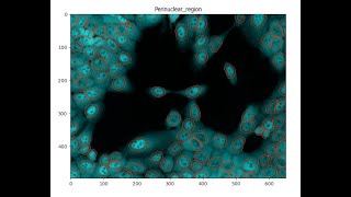 Measuring NuclearCytoplasmic Intensity with CellProfiler [upl. by Daniyal797]