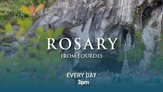 Rosary from Lourdes  01112024 [upl. by Ackerman]