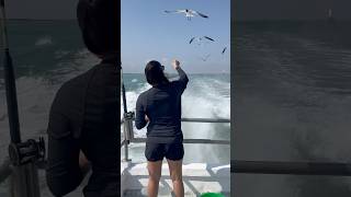 SPI Bay Fishing fish fishing southpadreisland trending trending fyp explorepage tiktok ig [upl. by Malynda123]