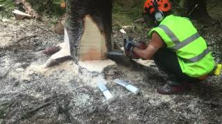 HW TRAINING CHAINSAW [upl. by Yddeg]