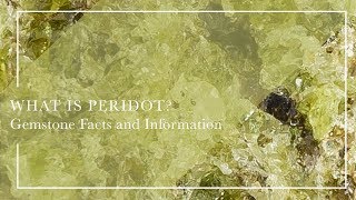 What Is Peridot  Gemstone Facts and Information [upl. by Alhak]