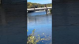 Paris Ontario river view from different directionsshortsfeedshortstravelsubscribeshortnature [upl. by Ingraham]