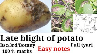 Late blight of potato  BSc3rd botany  Intro  Symptoms  Disease cycle Control Notes [upl. by Ree]