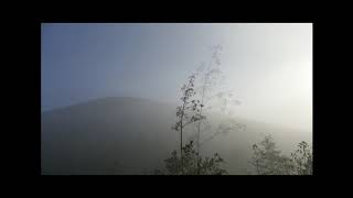 the mist covered mountain terrils de LoosenGohelle sous la brume [upl. by Ogeid]