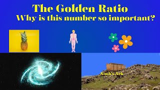 The Fibonacci Sequence and The Golden Ratio Watch until the end and your mind will be blown [upl. by Taro]