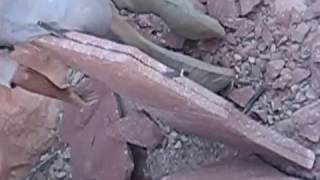 Red Stone Splitting process at Natural Stone Quarry India Rajasthan  Dharti Craft Quarry People [upl. by Adnuhser]