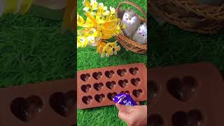 Just jelly  DairyMilk chocolate 🍫🤤 heart mould🫶 🤤youtubeshorts subscribe chocolate Ushnaabbasi [upl. by Yessydo272]