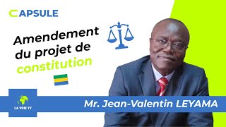 AMENDEMENT DU PROJET DE CONSTITUTION  GABON [upl. by Hpesojnhoj]