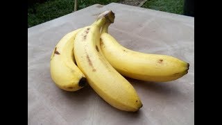 Será Que Diabético pode comer banana Receitas para Diabéticos [upl. by Threlkeld]