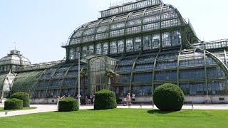 Schonbrunn Botanical Garden Palmhouse Vienna Austria [upl. by Ahsercal]