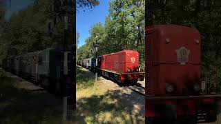 08092024 Loenen  Twee locs van de serie 2400 zijn onderweg vanuit Beekbergen richting Loenen [upl. by Ihab925]