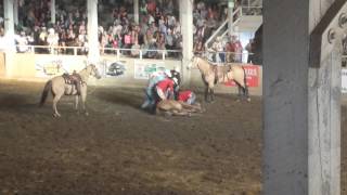 Horse breaks neck in rodeo [upl. by Ennalyrehc485]