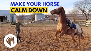 How To Calm An Anxious Horse [upl. by Charlet]